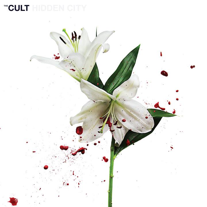 Cult Hidden City