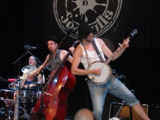 STEVE’N SEAGULLS