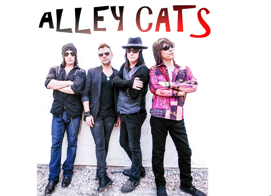 Alley cats
