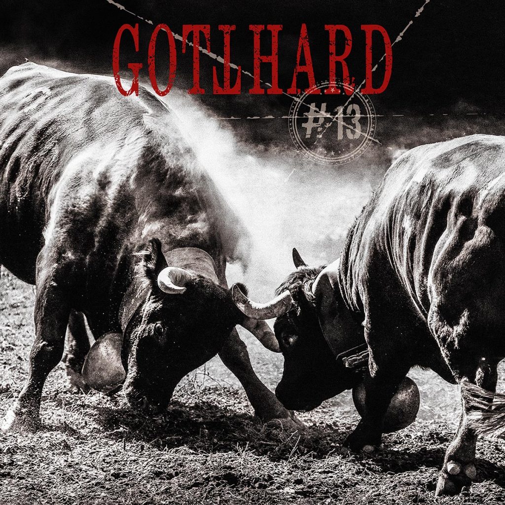 Gotthard #13