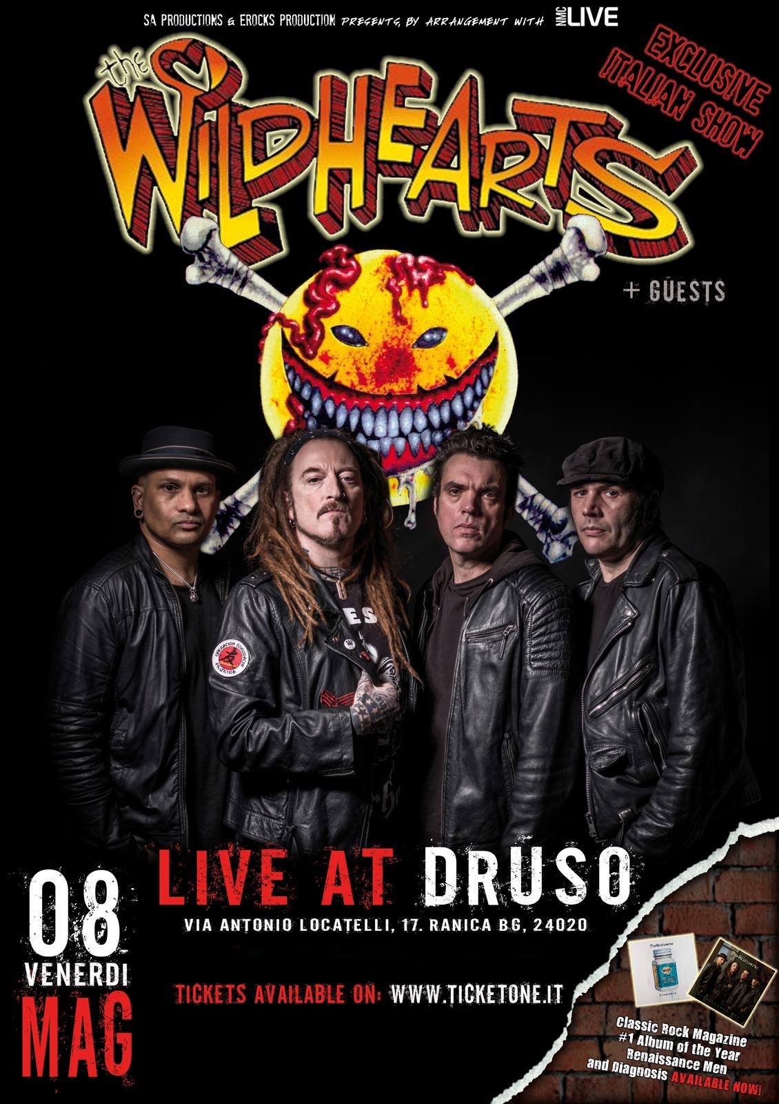 Wildhearts Druso