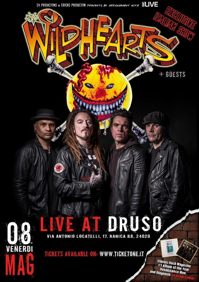 wildhearts druso