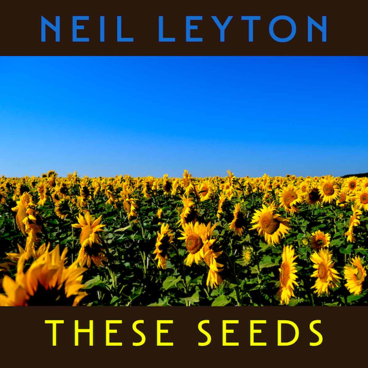 Neil Leyton