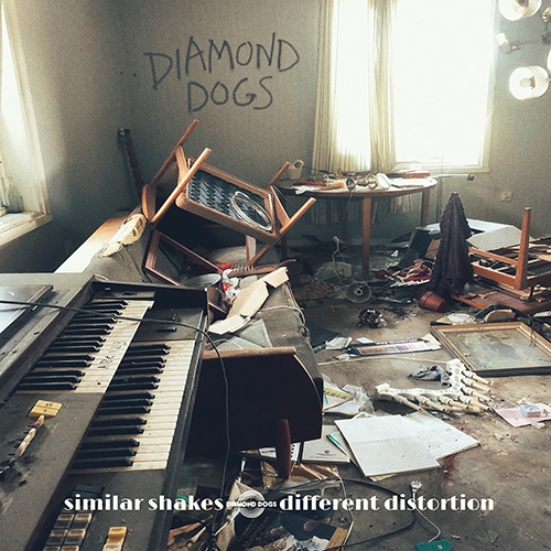 I Diamond Dogs tornano con il nuovo “Similar Shakes Different Distortion”